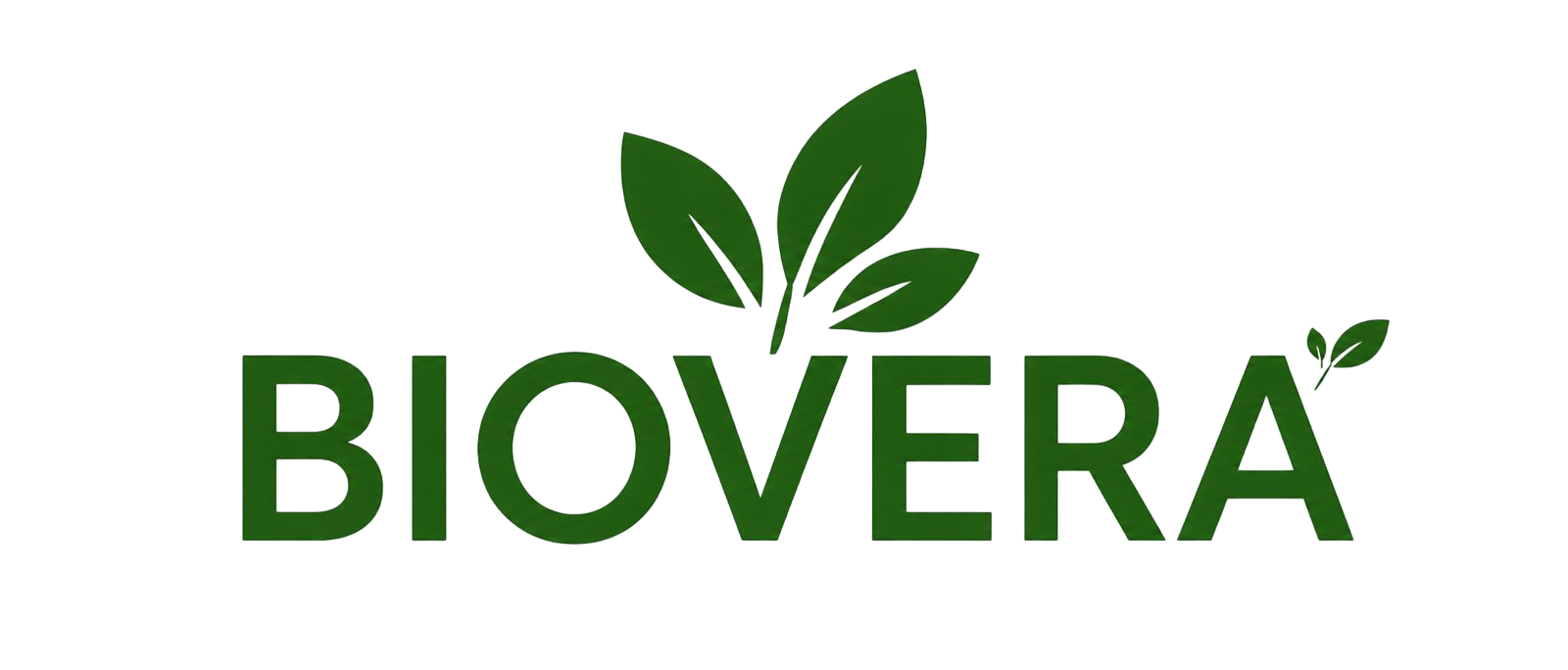 DREAMERS FASHION
